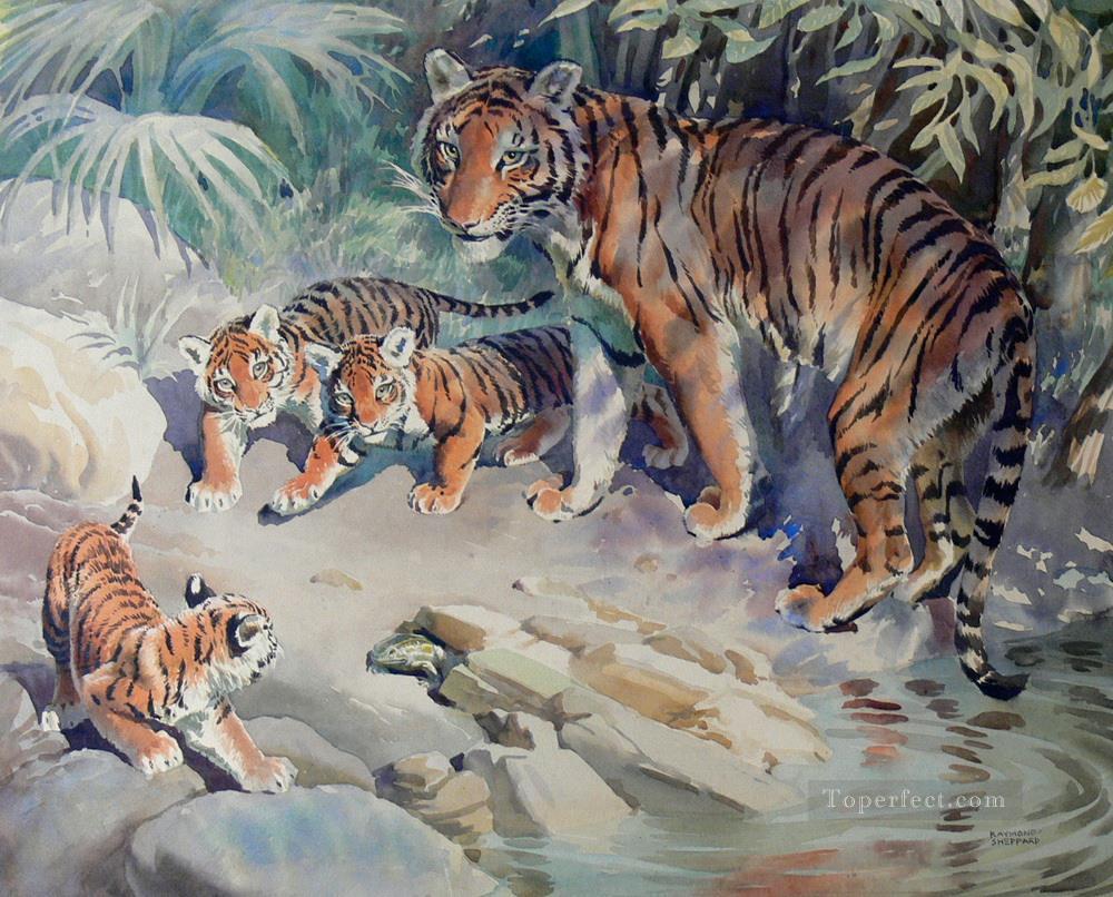 Tiger und Jungen 3 Ölgemälde